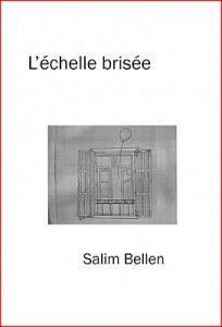 couverture de L'échelle brisée