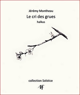 couverture du Cri des grues