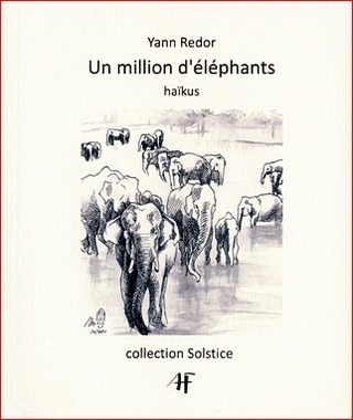 couverture d'Un million d'éléphants