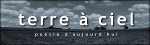 logo de la revue de poésie Terre à ciel