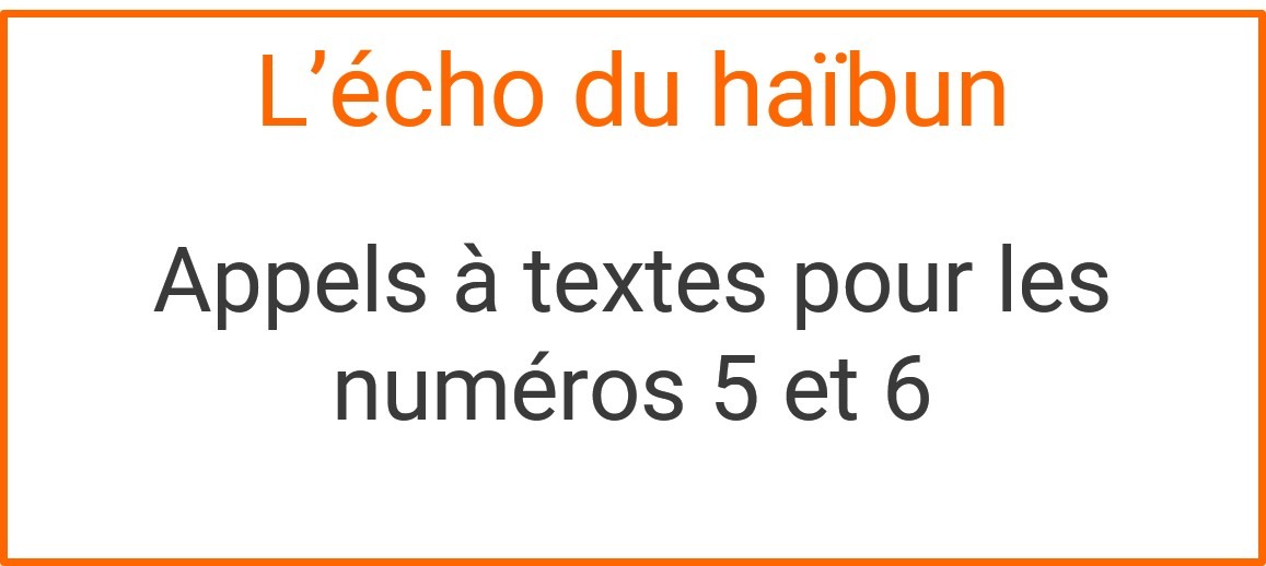 echo_du_haibun
