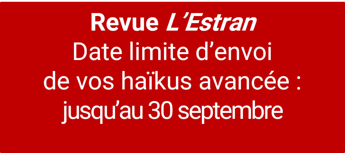 estrannouvelledateII